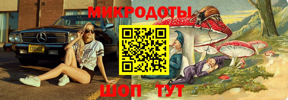 Новосибирск  Псилоцибиновые грибы мицелий  Псилоцибиновые грибы прущие грибы  Вход с VPN 