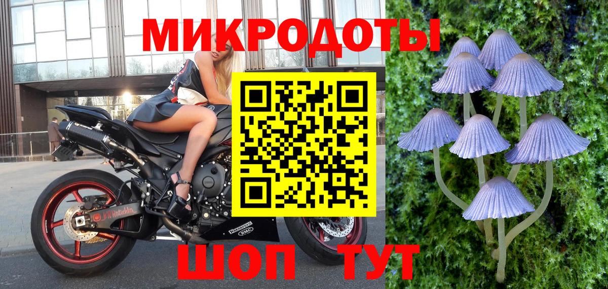 Галлюциногенные грибы Psilocybine cubensis Новосибирск
