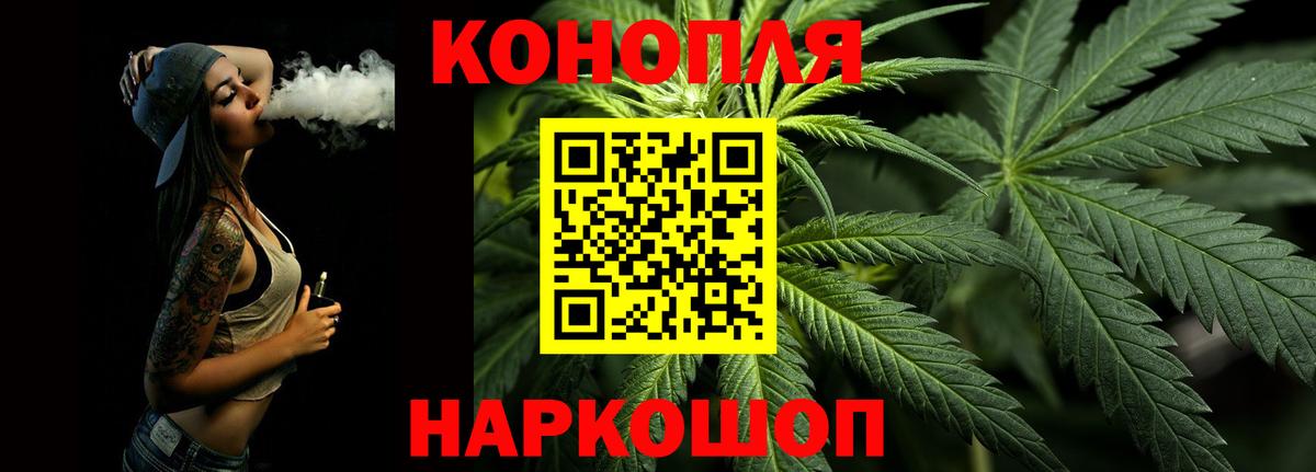 Бошки Шишки планчик  Вход с VPN  Новосибирск  МАРИХУАНА SATIVA & INDICA 